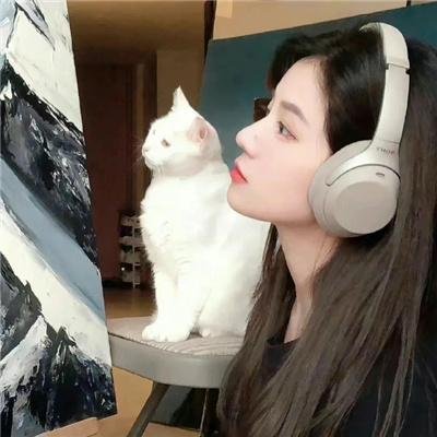 镜花水月情
